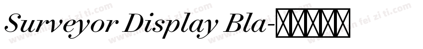 Surveyor Display Bla字体转换